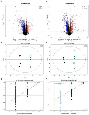 Analysis of the anti-PCV2 mechanism of Lactobacillus acidophilus based on non-target metabolomics and high-throughput molecular docking